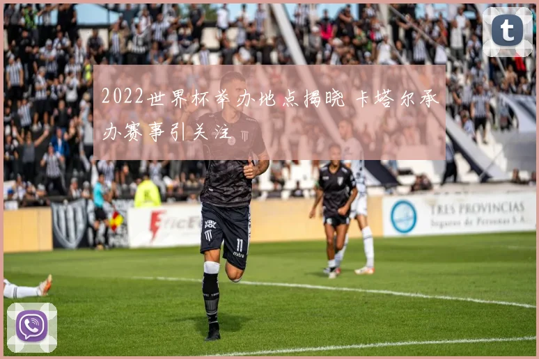 2022世界杯举办地点揭晓 卡塔尔承办赛事引关注