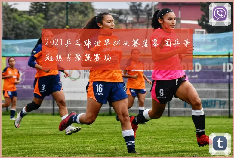 2021乒乓球世界杯决赛落幕 国乒争冠焦点聚集赛场